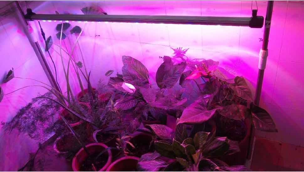 Фитосветильник Growsvet LED line 90 Фитосветильник Growsvet LED line 90